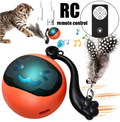 PawJoy Smart Chase Ball