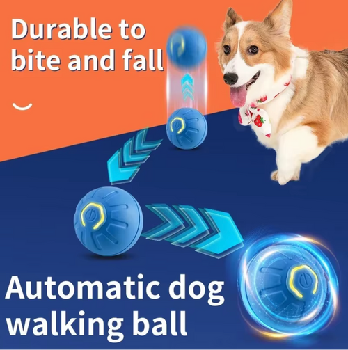 PawJoy Smart Bounce Ball