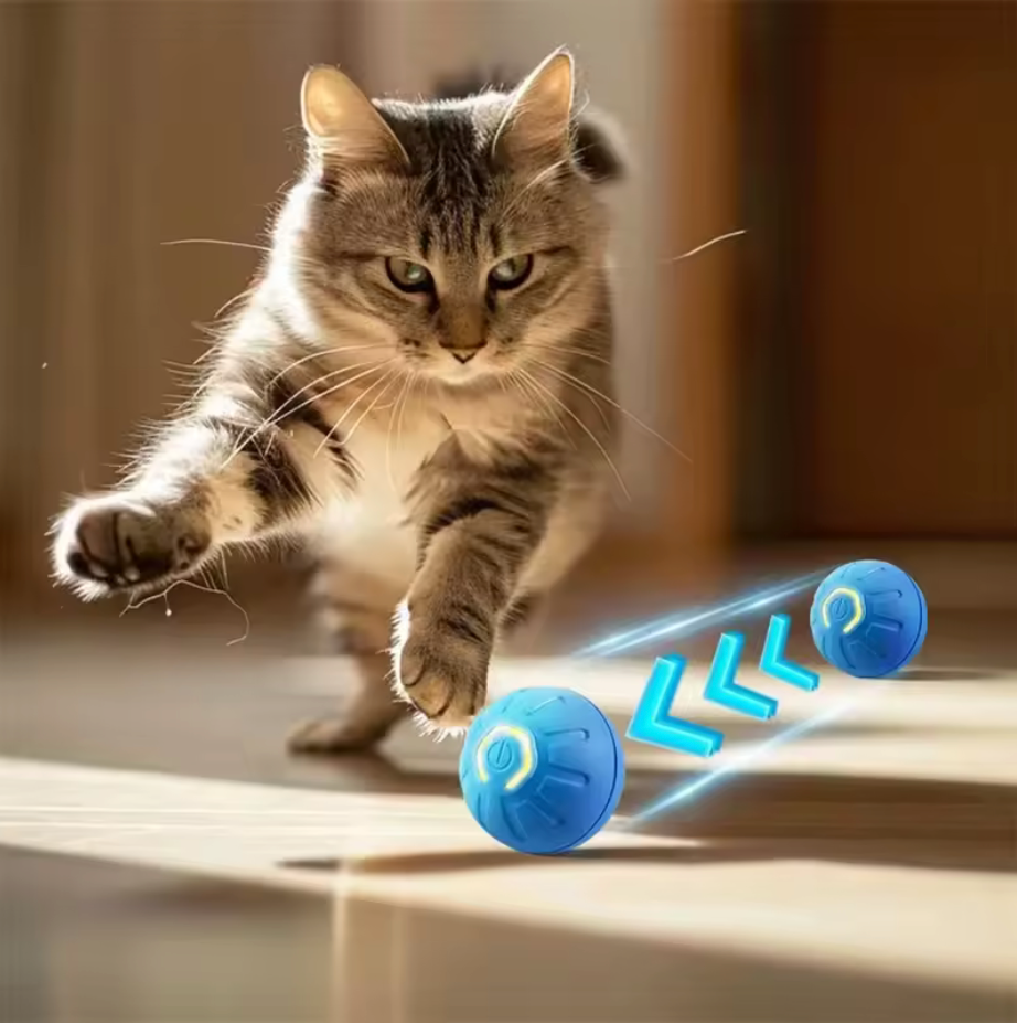 PawJoy Smart Bounce Ball