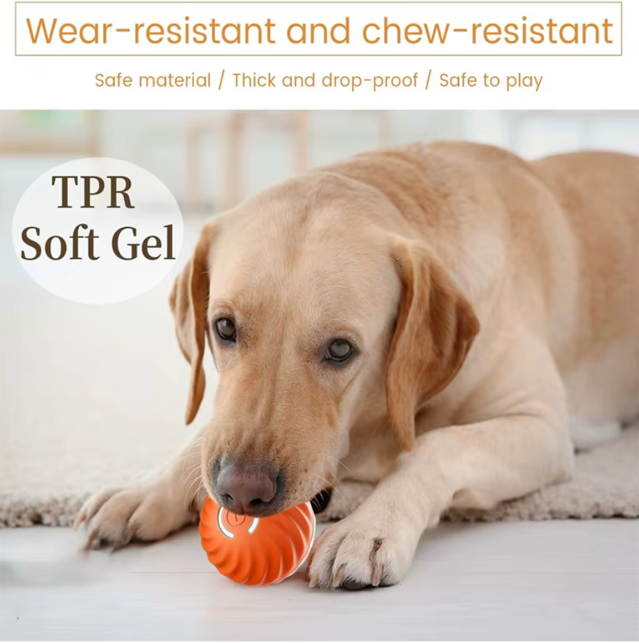 PawJoy Smart Bounce Ball